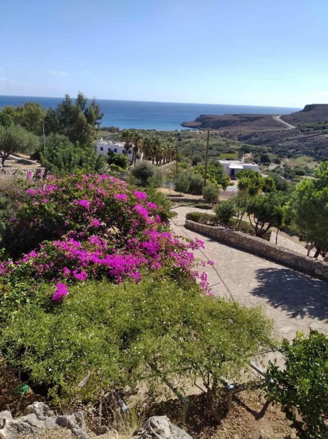 Anthia Apartment Sea View Zakros Exterior photo